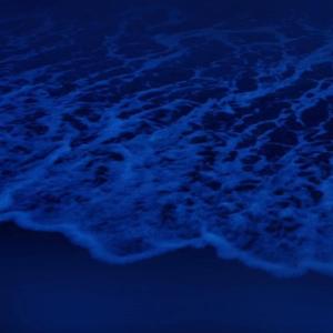 欧美高清性XXXXHDvideosex
